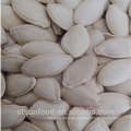 Inner Mongolia chinese 2019 new crop good quality cheap price pumpkin seeds